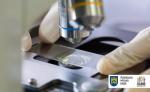 У Львові стартує освітній проект для студентів-біотехнологів